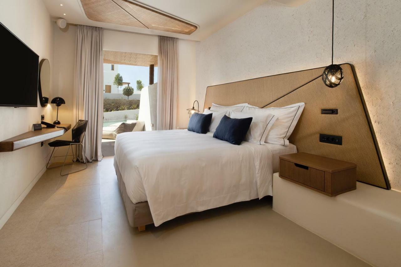 Hotel Aegon Mykonos, Autograph Collection Kalo Livadi Exteriér fotografie